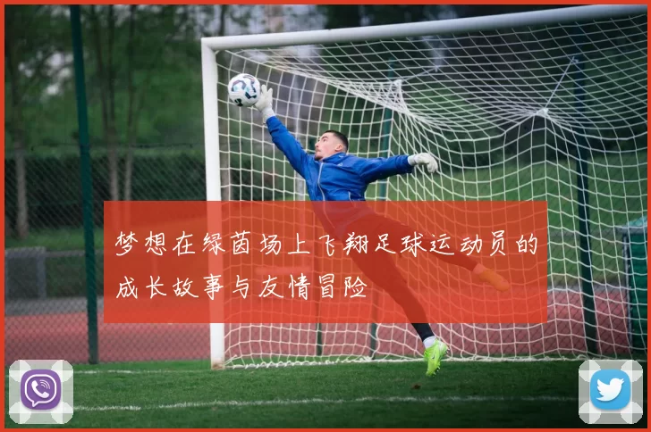 梦想在绿茵场上飞翔足球运动员的成长故事与友情冒险