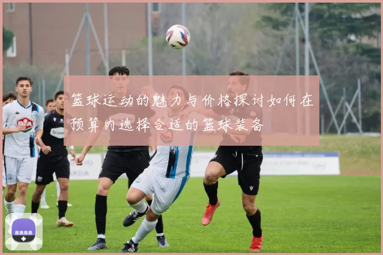 篮球运动的魅力与价格探讨如何在预算内选择合适的篮球装备